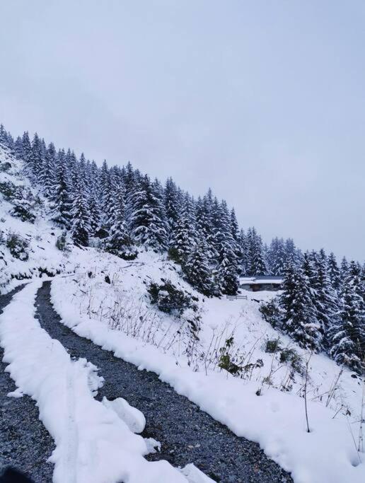 Appartement De 80M² Plein Sud Entierement Renove La Plagne Exteriér fotografie